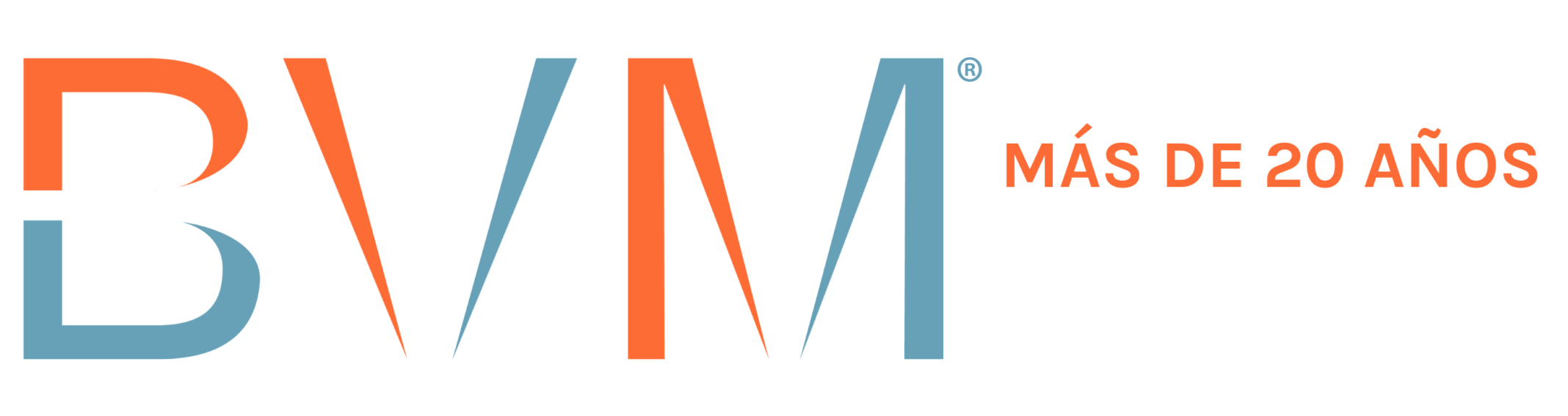 BVM Consultores